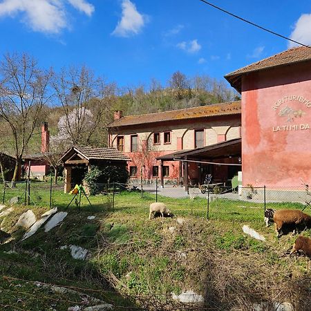 Agriturismo La.Ti.Mi.Da. Villa Cassine Exterior photo