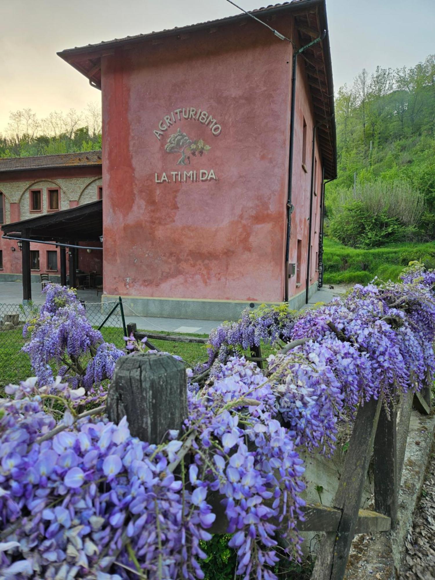 Agriturismo La.Ti.Mi.Da. Villa Cassine Exterior photo