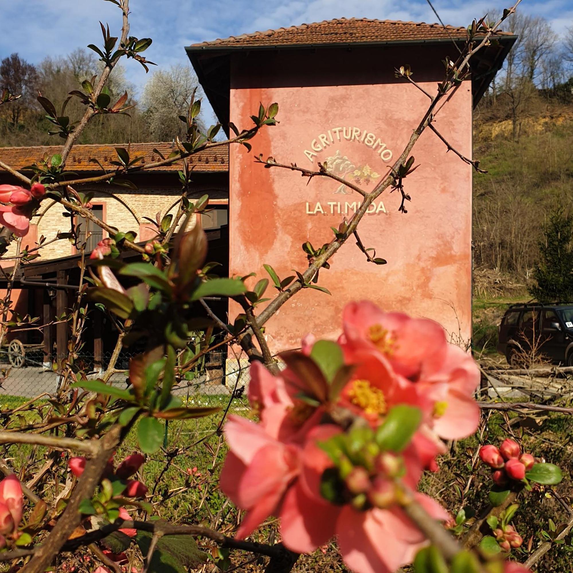 Agriturismo La.Ti.Mi.Da. Villa Cassine Exterior photo